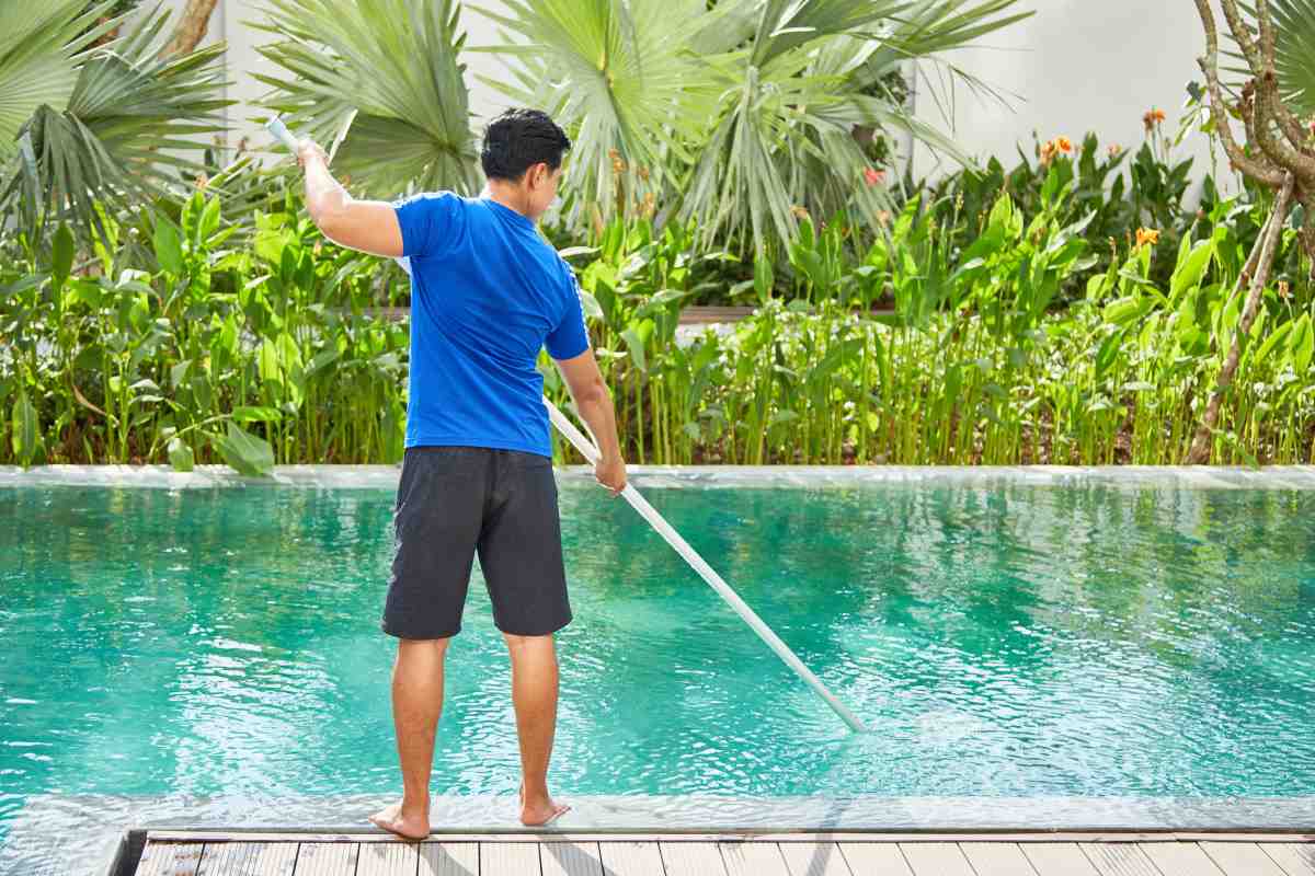 Maintain Your Pool with Skimmer Net