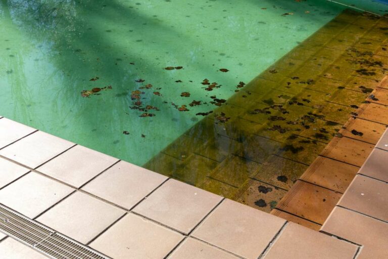 Dirty swimming pool with leaves in the pool bottom