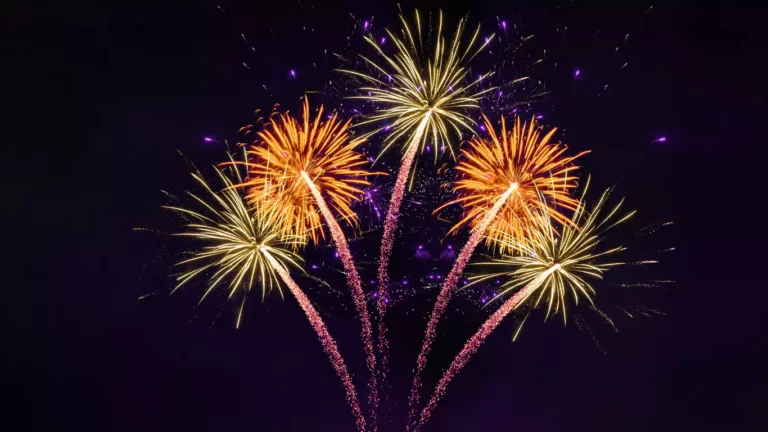 Fireworks with a black sky background.