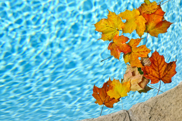 Fall leaves floating in blue swimming pool water