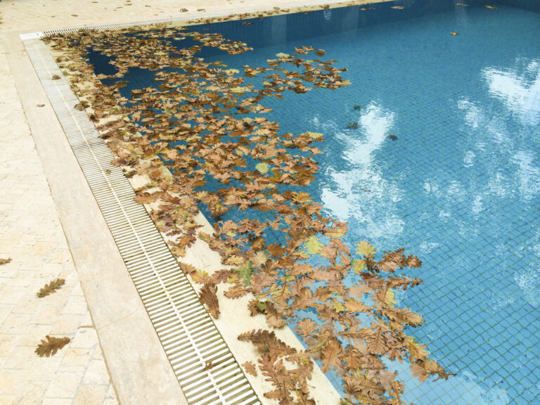 Dry leaves on a swimming pool, indicating the change of seasons and the time to winterize your pool.