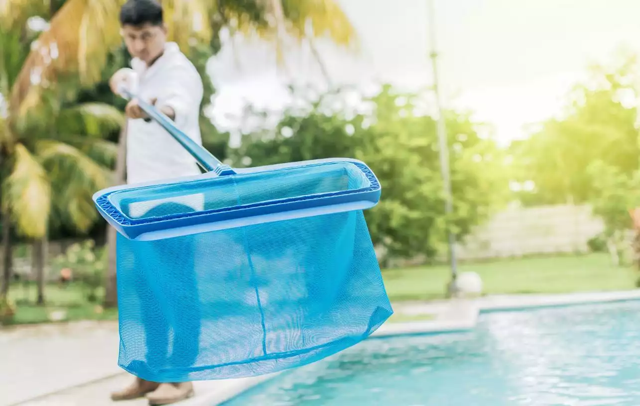 Person holding a skimmer cleaning their swimming pool. 